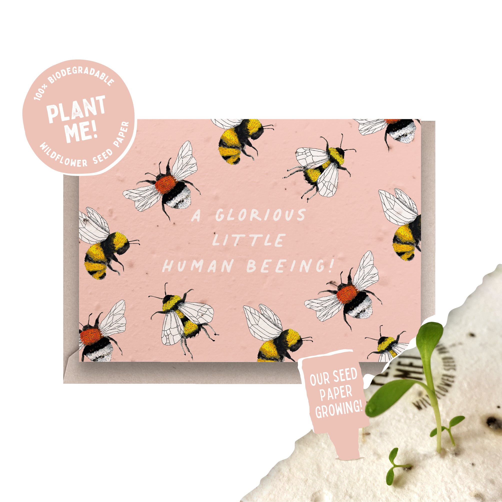 Bee Kind Graphic by Bowcys · Creative Fabrica