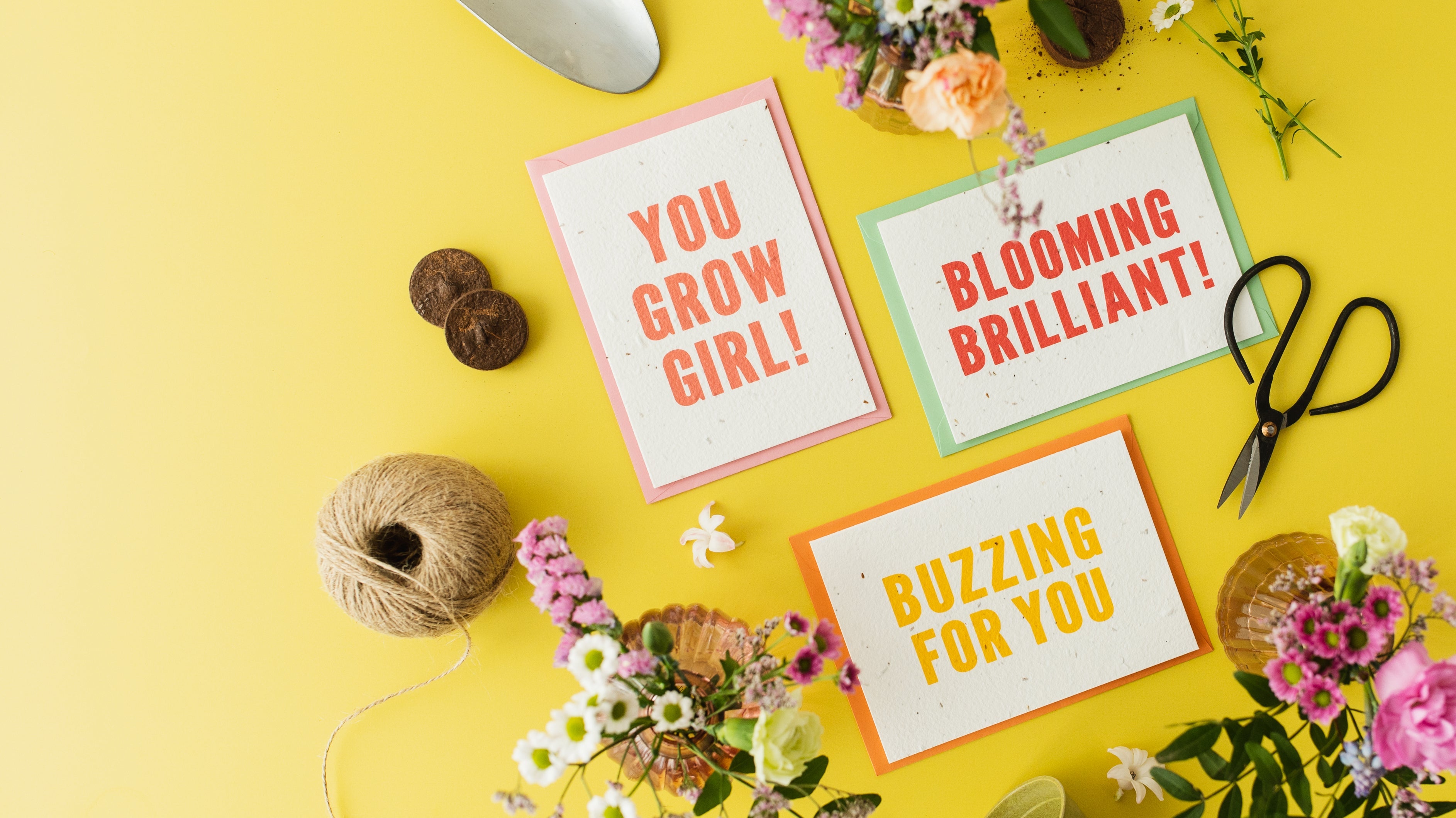 A set of three Ruby & Bo plantable congratulations cards on a bright yellow background