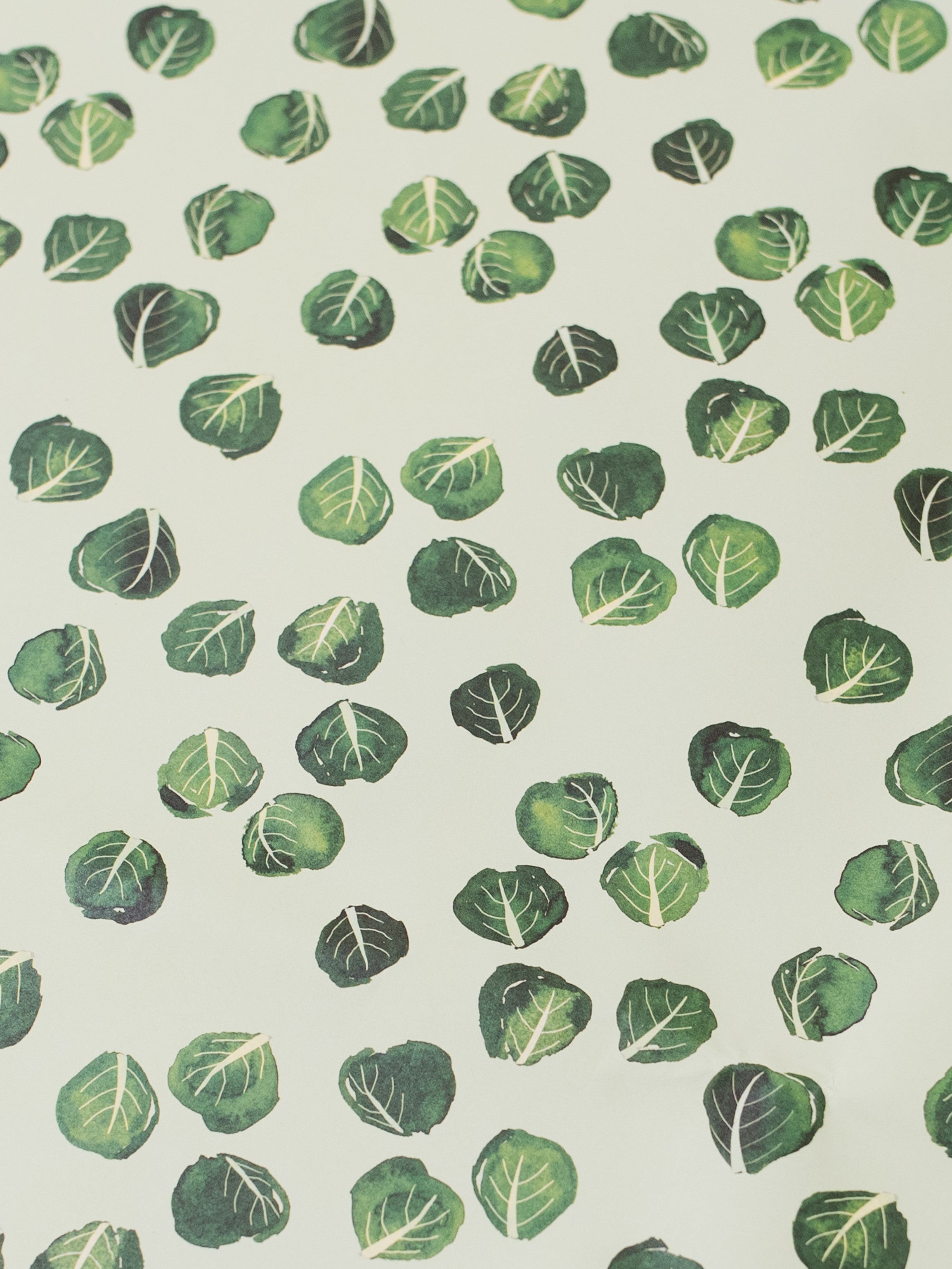 Brussel Sprout Recycled Wrap &amp; Plantable Tag Set