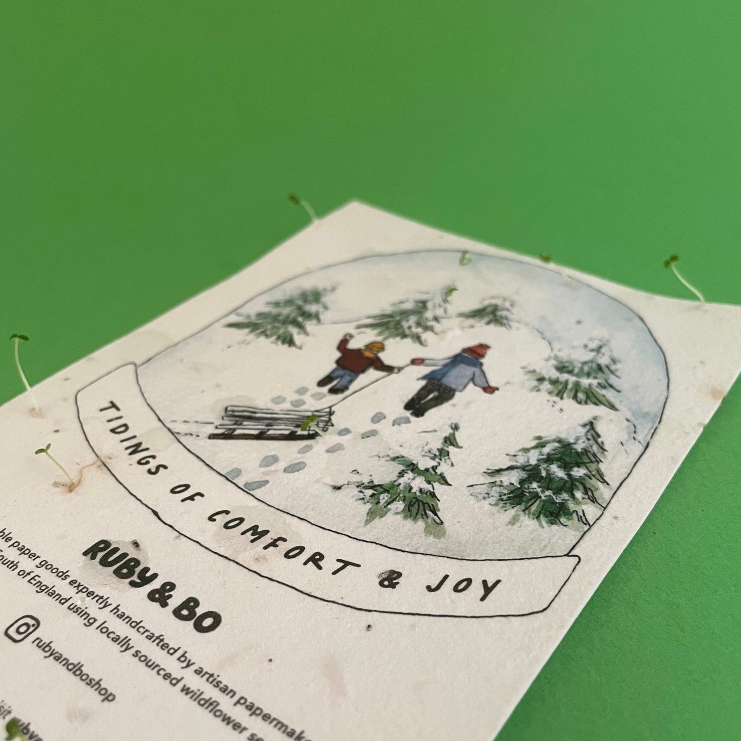Ruby &amp; Bo Comfort &amp; Joy Plantable Christmas Card