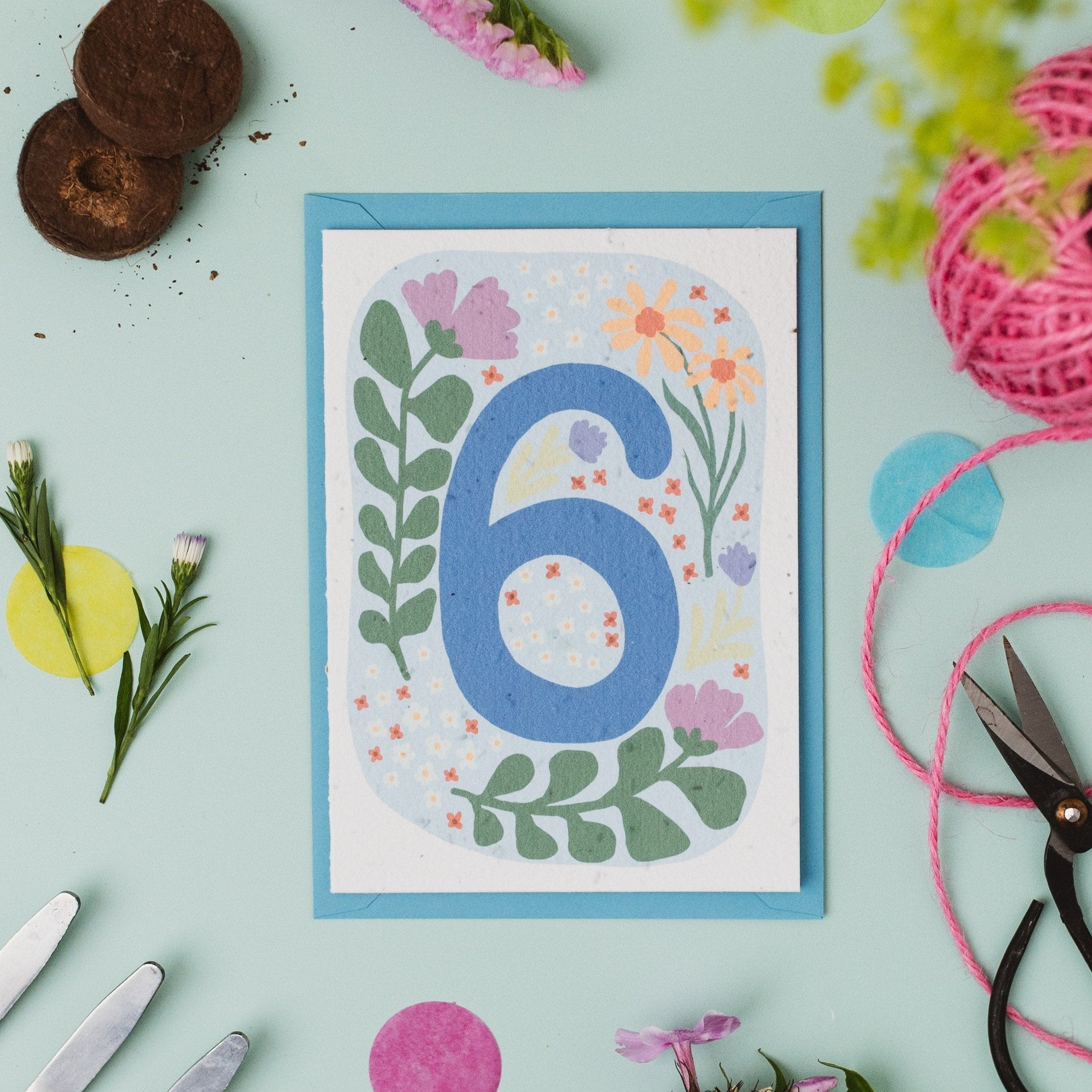 Plantable 6th Birthday Card