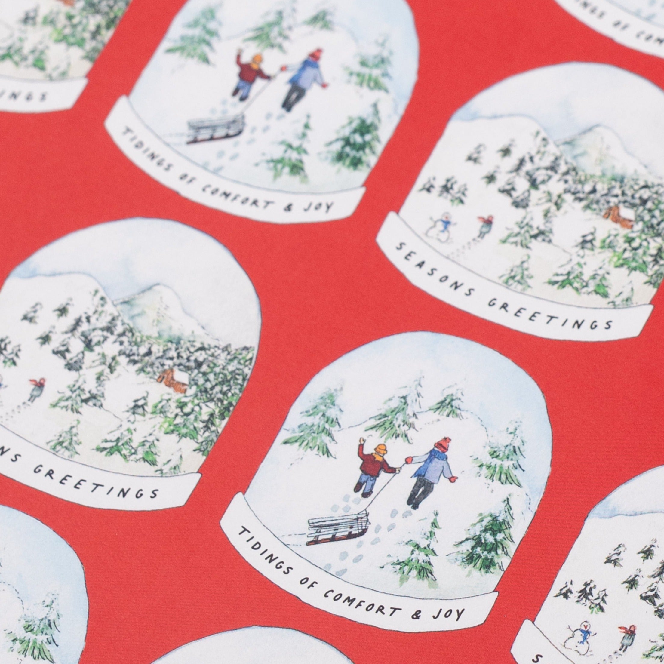 Red Snowglobe Recycled Wrap &amp; Plantable Tag Set 