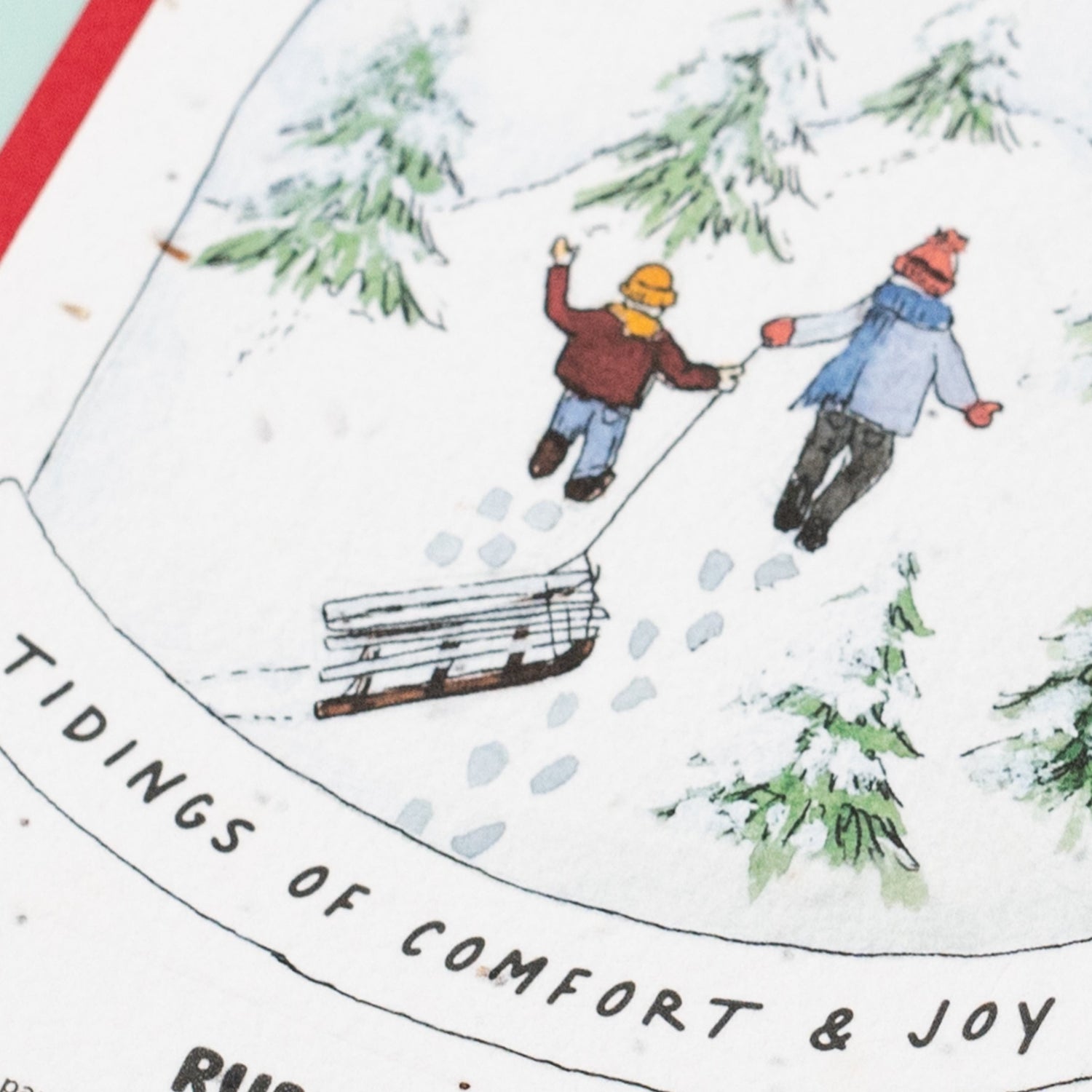 Comfort &amp; Joy Plantable Christmas Card