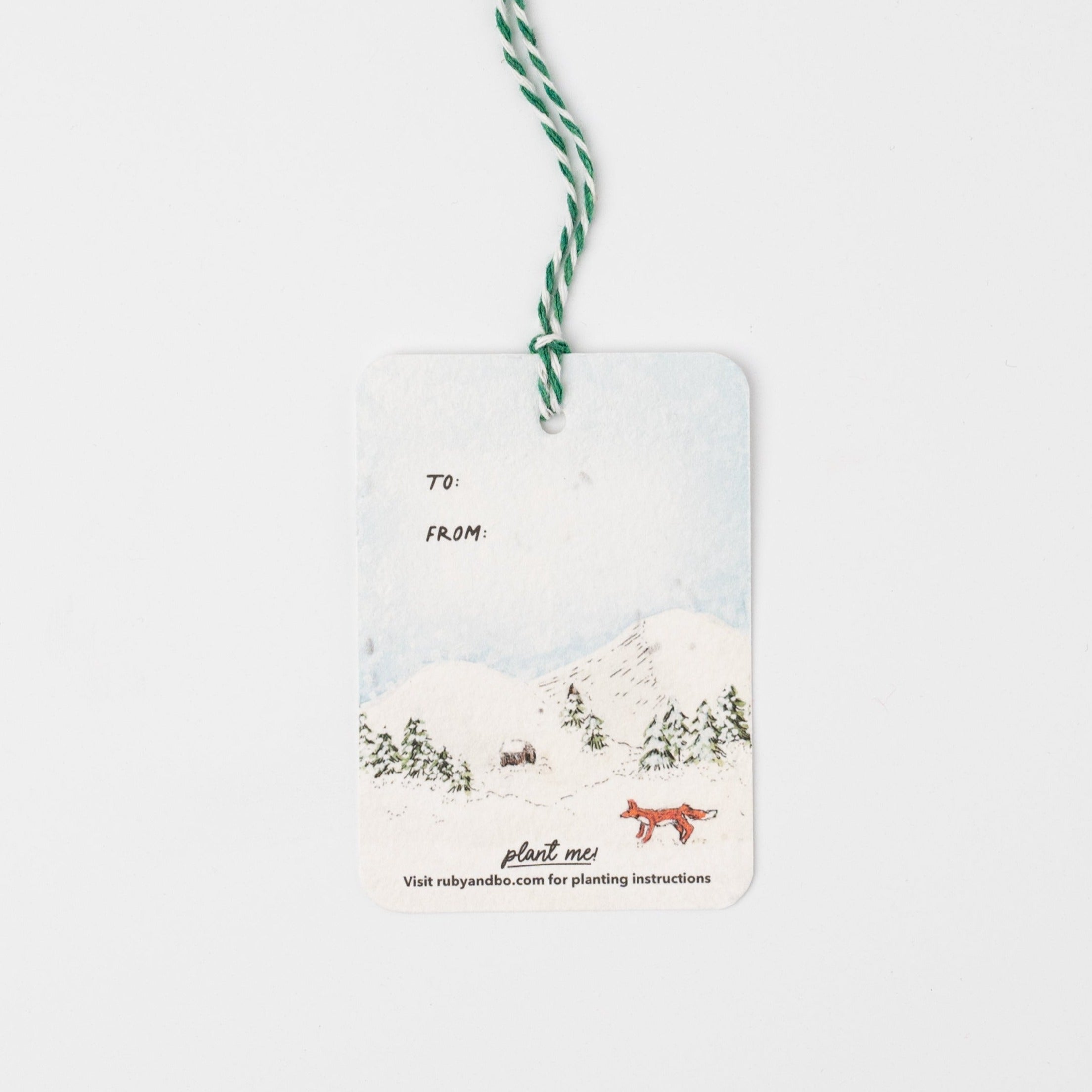 Winter Scenes Plantable Gift Tags, Set of 5