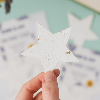 A Ruby &amp; Bo Plantable Paper Star