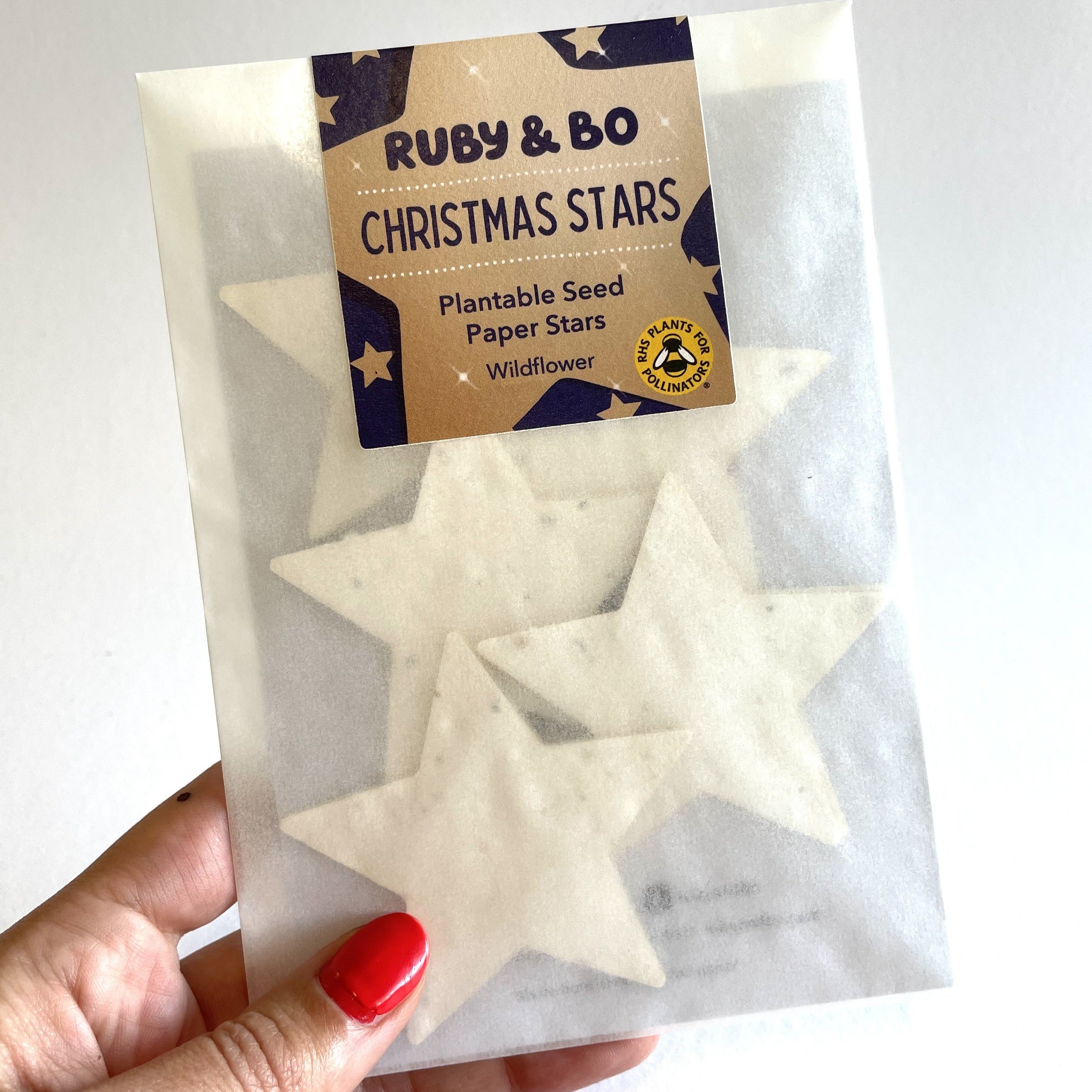 Christmas Star Plantable Stars
