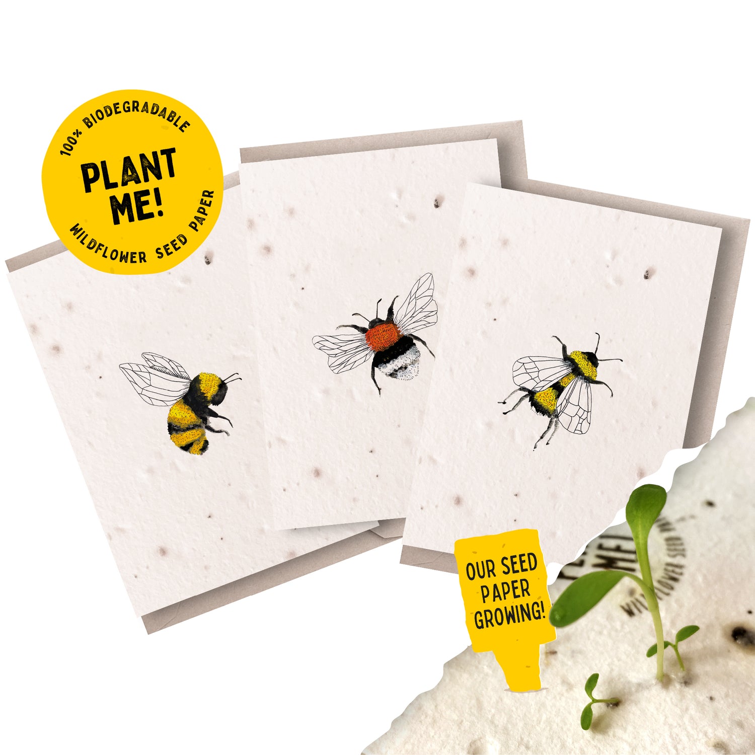 Bumblebee Plantable Notecard Set of 3