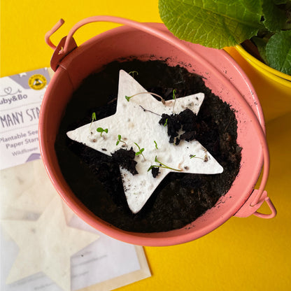 A pink plant pot full of compost with a Ruby &amp; Bo plantable paper star on top sprouting seedlings