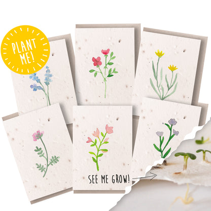 Wildflower Plantable Notecard Set of 6