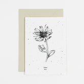 Aster plantable card