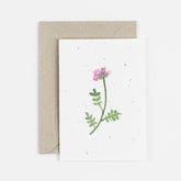 pink clover plantable notecard