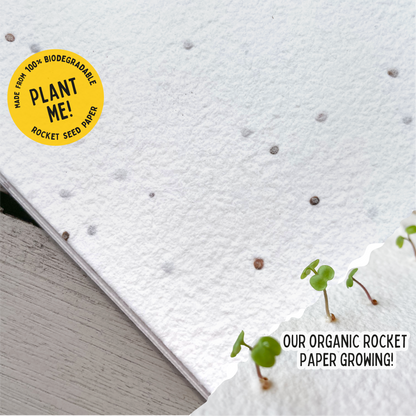 Organic Rocket Seed Paper